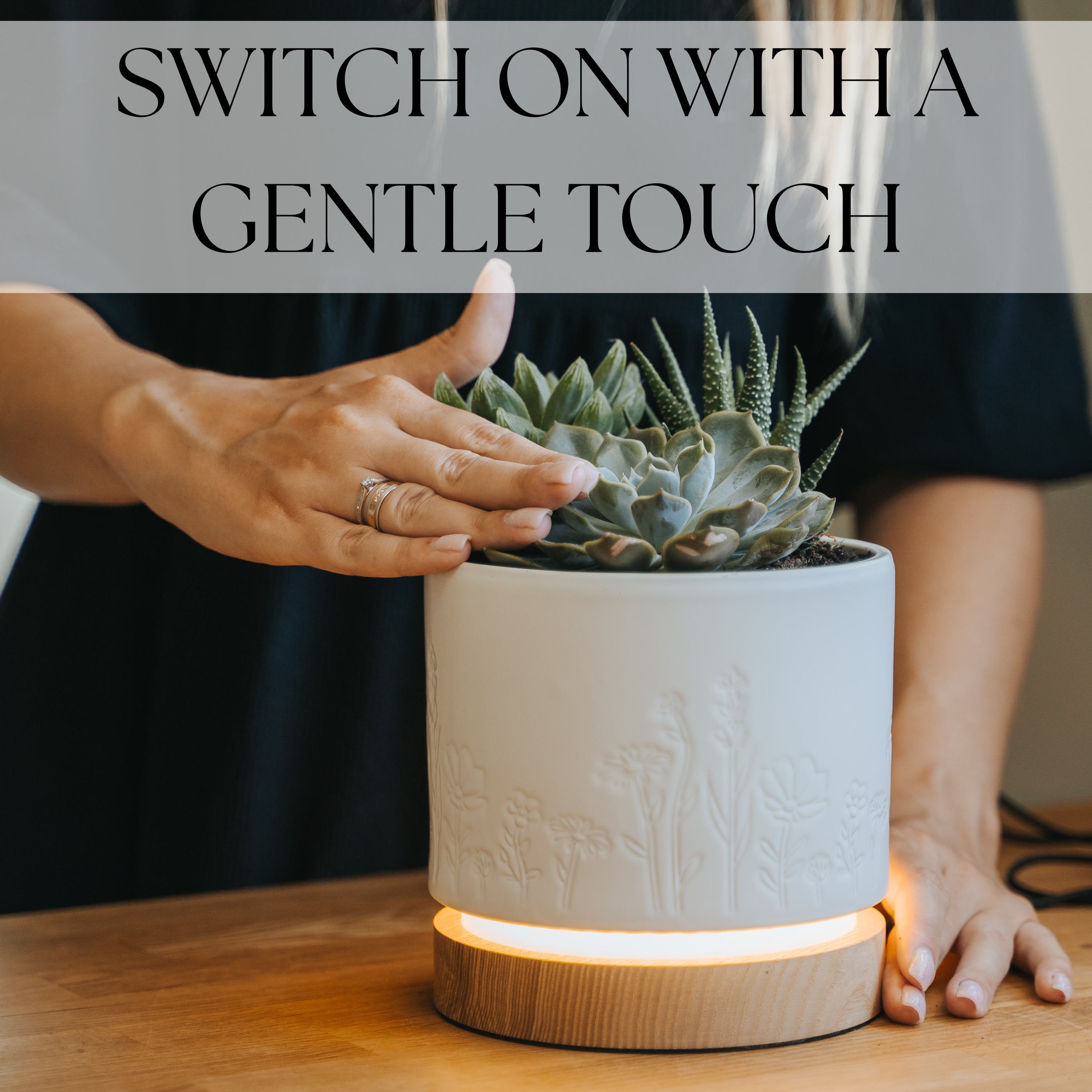 Magic Plantern - A Touch Of Light