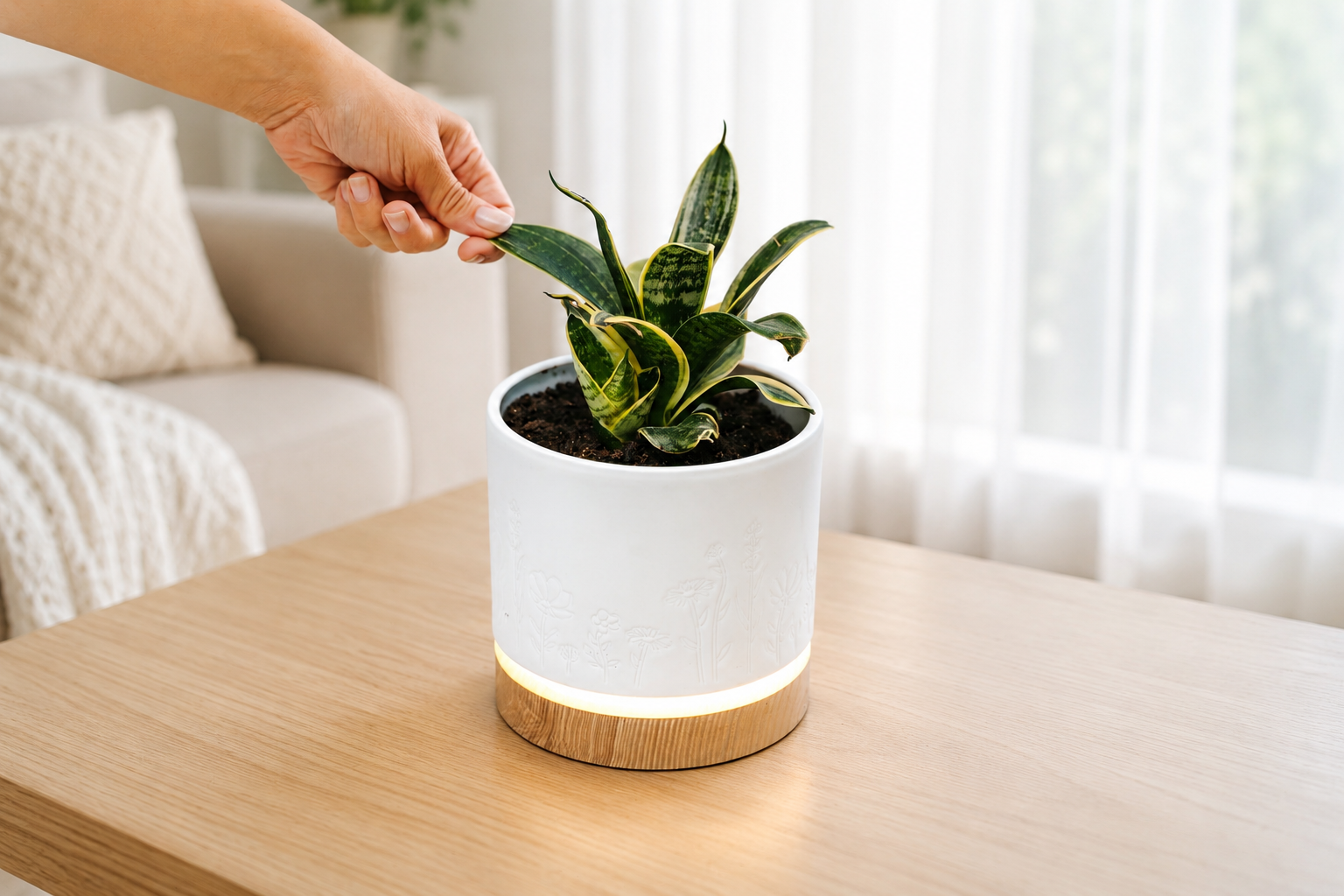 Plant-a-lamp as magic plantern